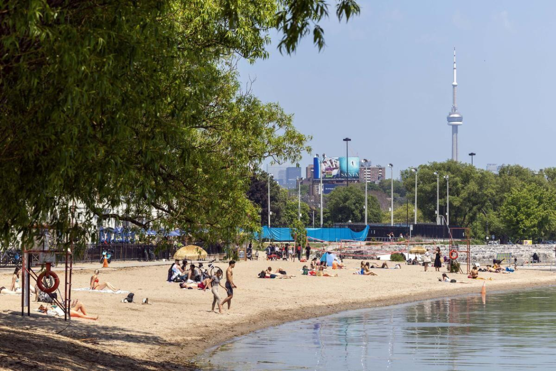 The Beaches Community